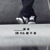 小飞鼠迪丽芭比