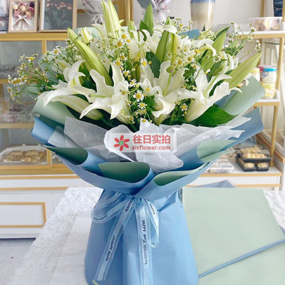 安庆8支白色多头百合洋甘菊，互倾的思念